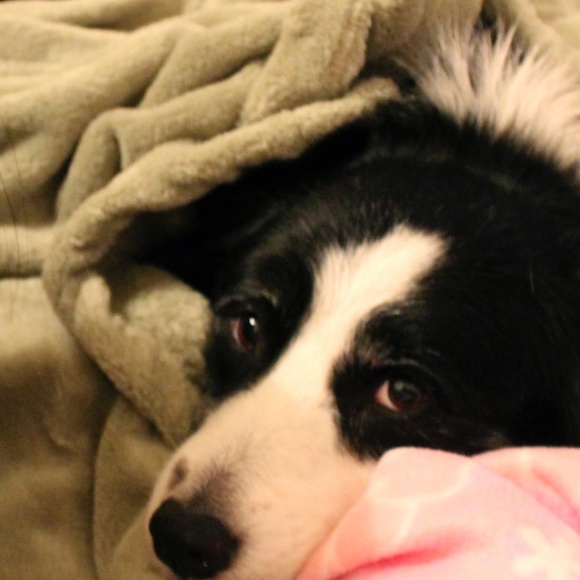 Meet your Posher, DF - Picture 1 of 1